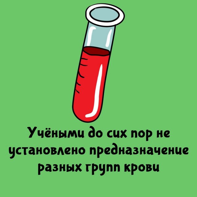 Короткие интересные факты на все случаи жизни