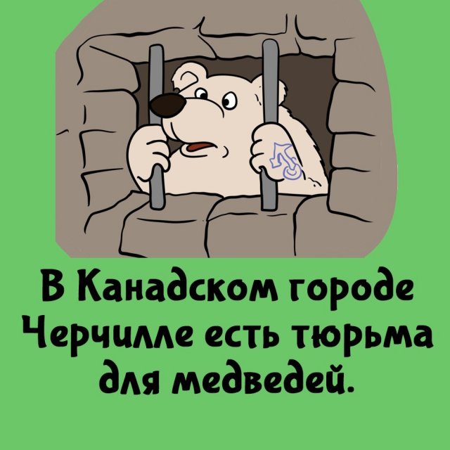 Короткие интересные факты на все случаи жизни