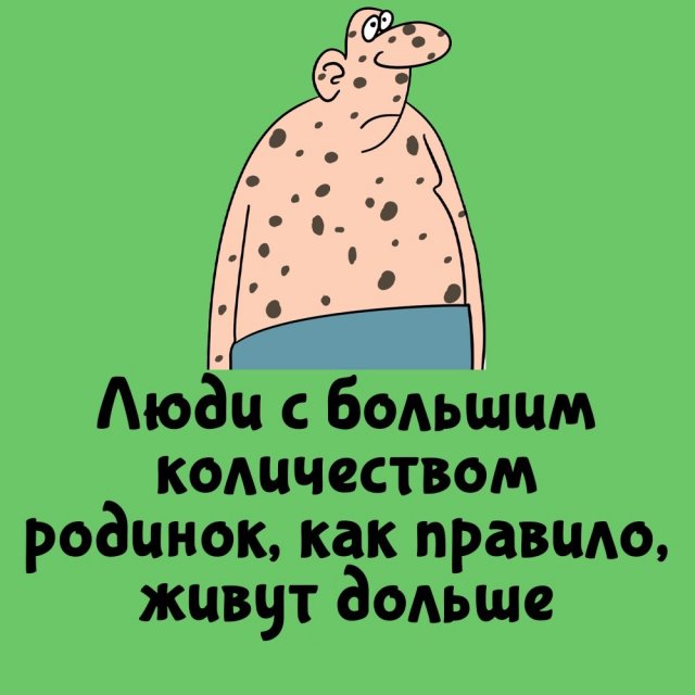 Короткие интересные факты на все случаи жизни