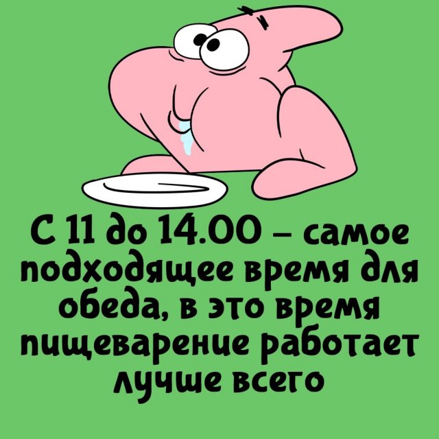 Короткие интересные факты на все случаи жизни