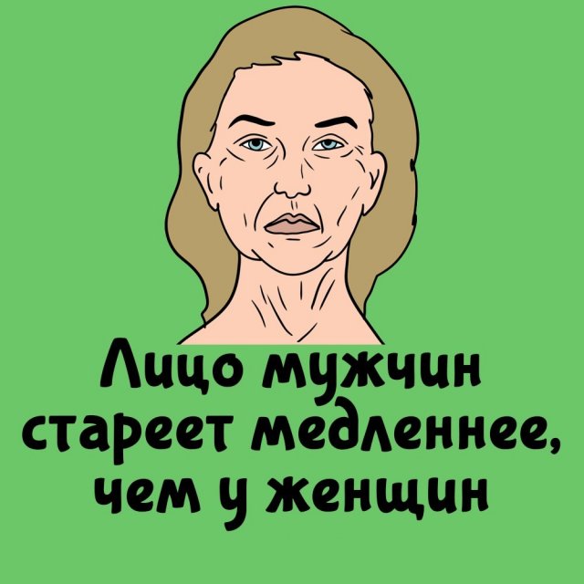 Короткие интересные факты на все случаи жизни