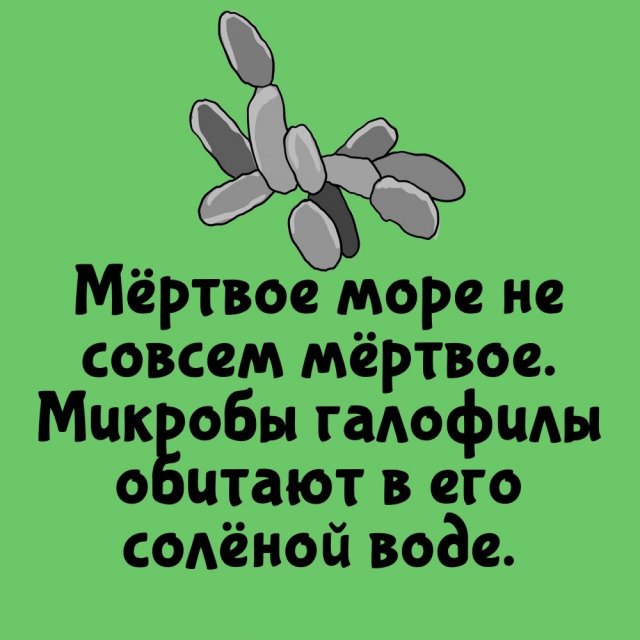 Короткие интересные факты на все случаи жизни