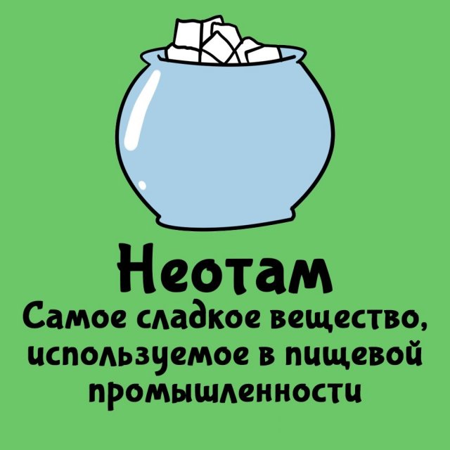 Короткие интересные факты на все случаи жизни