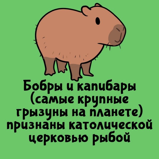Короткие интересные факты на все случаи жизни