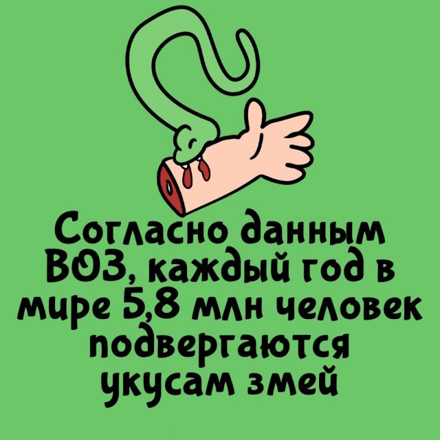 Короткие интересные факты на все случаи жизни
