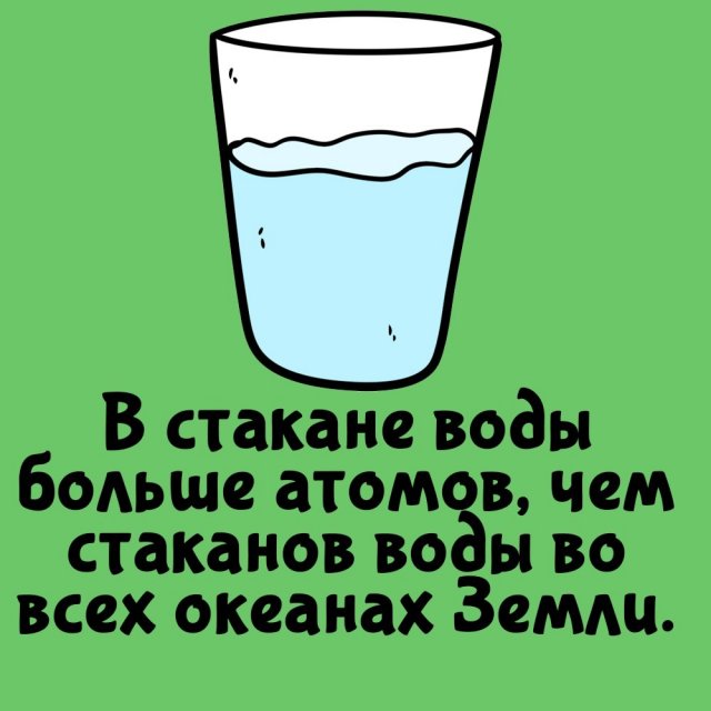Короткие интересные факты на все случаи жизни