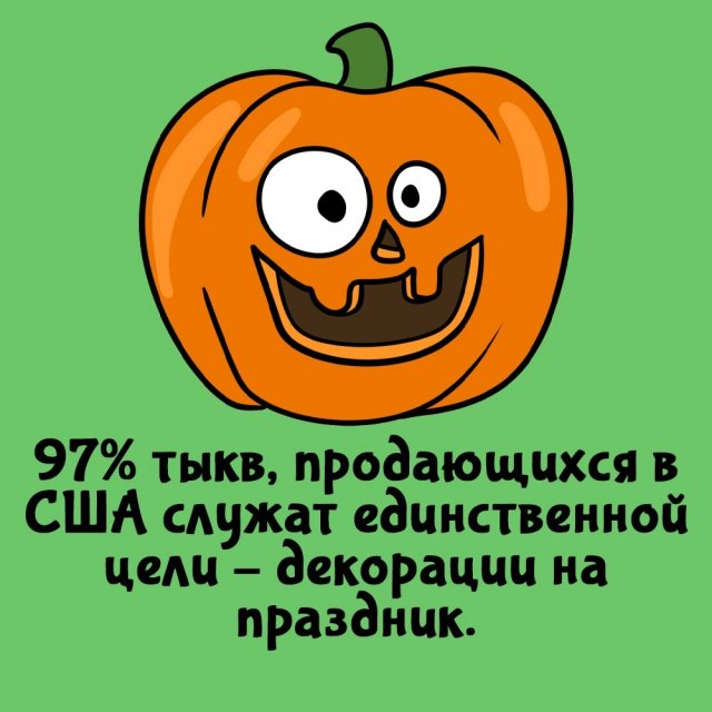 Короткие интересные факты на все случаи жизни