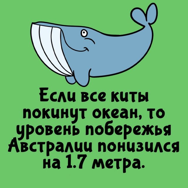 Короткие интересные факты на все случаи жизни