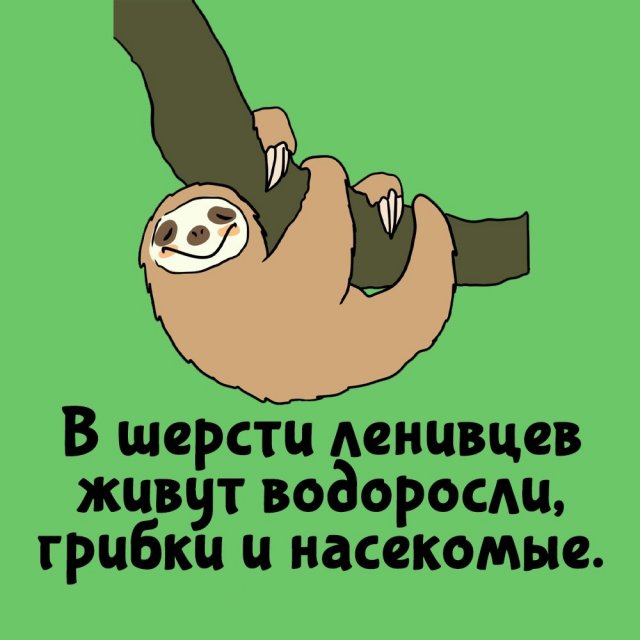 Короткие интересные факты на все случаи жизни