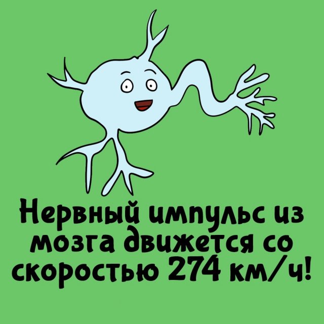 Короткие интересные факты на все случаи жизни