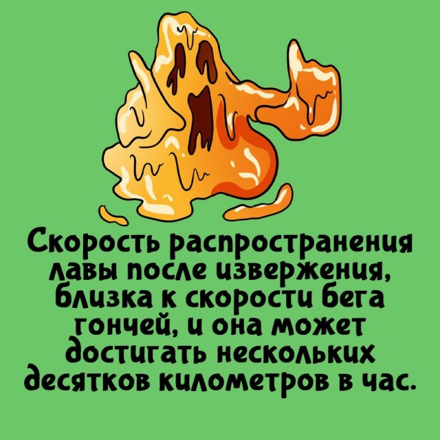 Короткие интересные факты на все случаи жизни