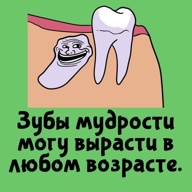 Короткие интересные факты на все случаи жизни