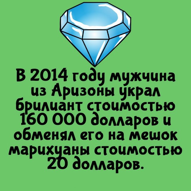 Короткие интересные факты на все случаи жизни