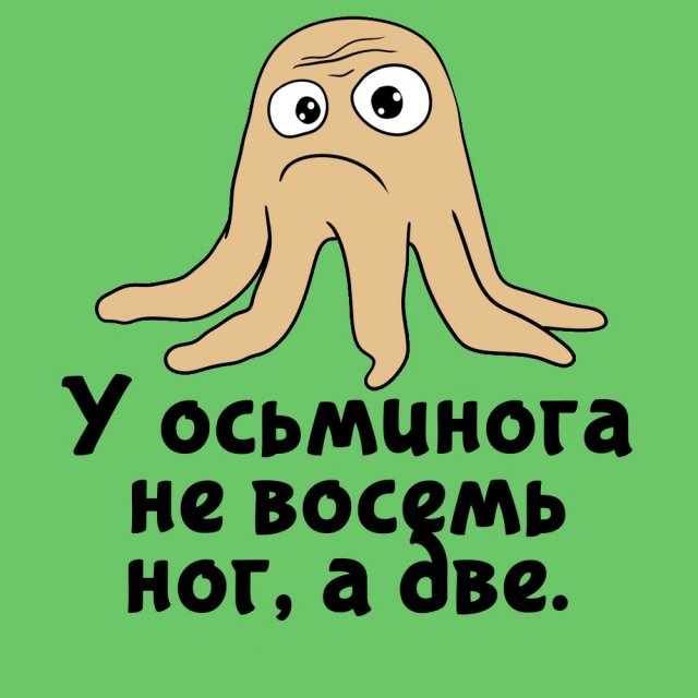 Короткие интересные факты на все случаи жизни