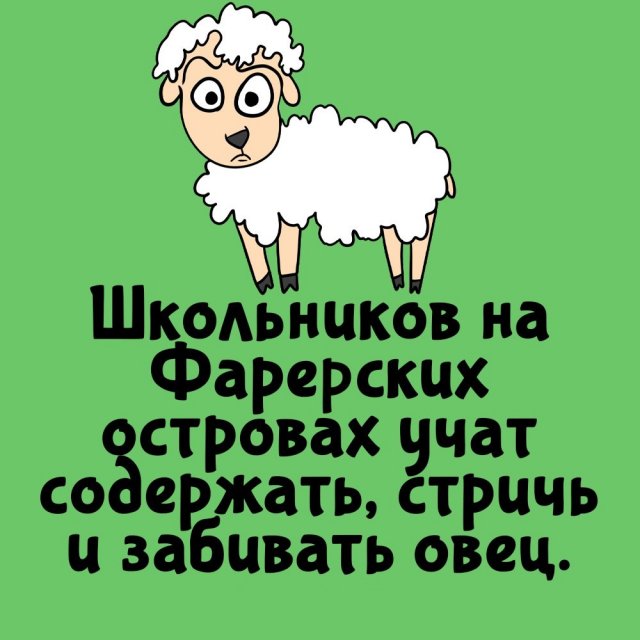 Короткие интересные факты на все случаи жизни