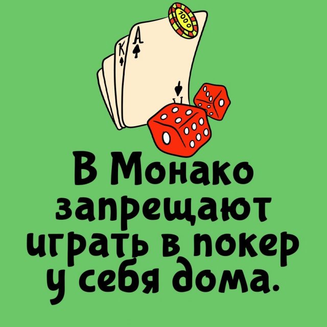 Короткие интересные факты на все случаи жизни