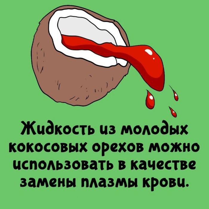 Короткие интересные факты на все случаи жизни