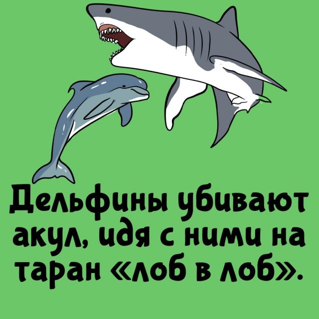 Короткие интересные факты на все случаи жизни