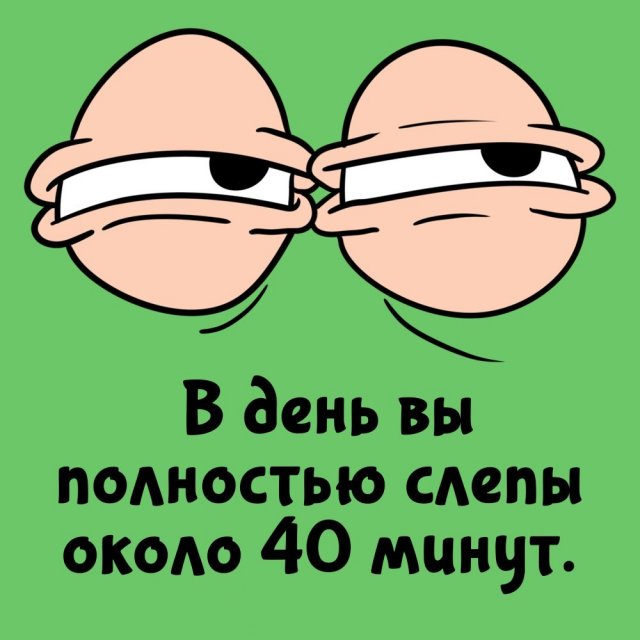 Короткие интересные факты на все случаи жизни