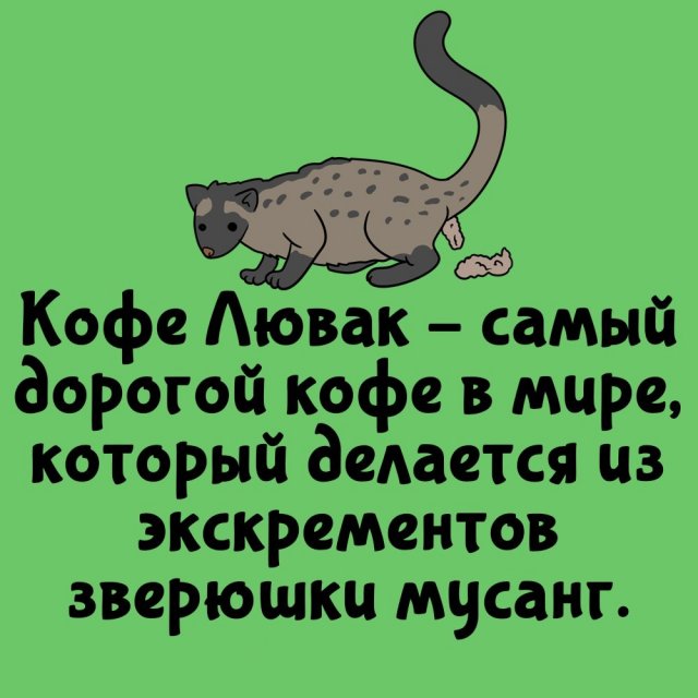 Короткие интересные факты на все случаи жизни