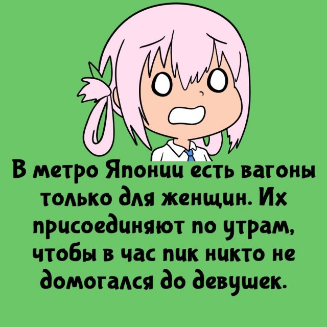 Короткие интересные факты на все случаи жизни