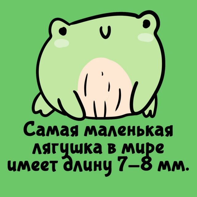 Короткие интересные факты на все случаи жизни