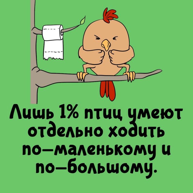 Короткие интересные факты на все случаи жизни
