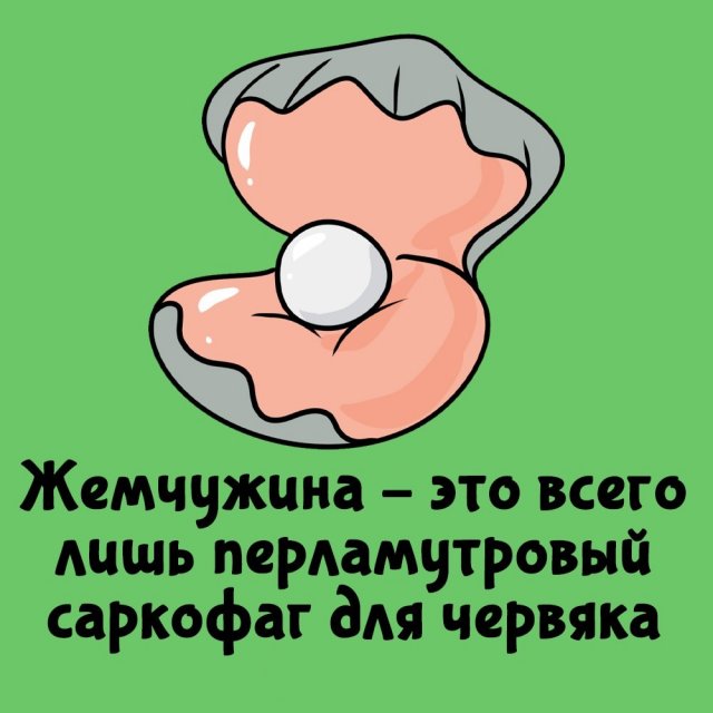 Короткие интересные факты на все случаи жизни