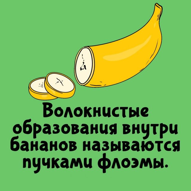 Короткие интересные факты на все случаи жизни