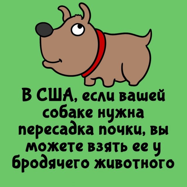 Короткие интересные факты на все случаи жизни