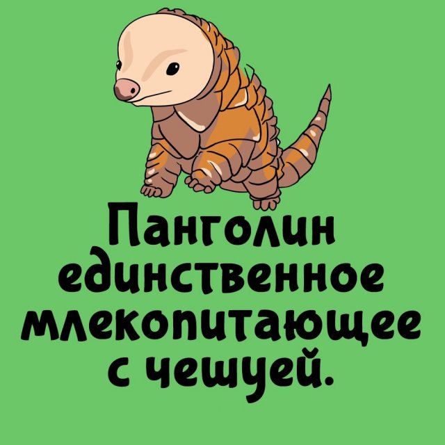 Короткие интересные факты на все случаи жизни