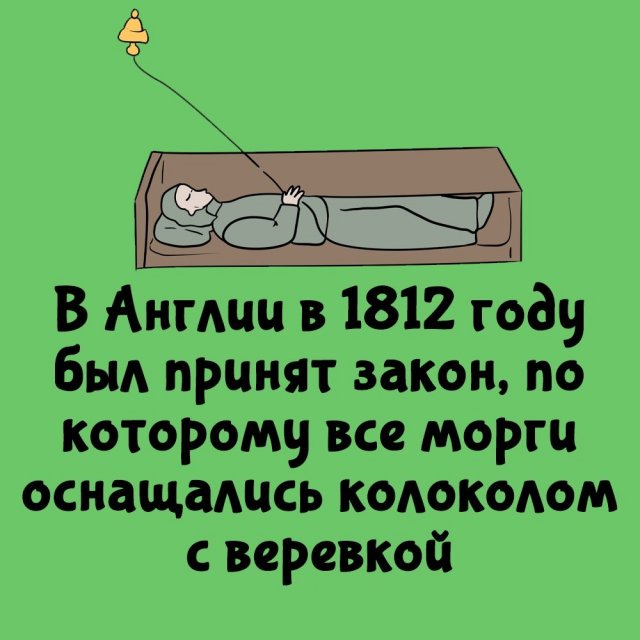 Короткие интересные факты на все случаи жизни
