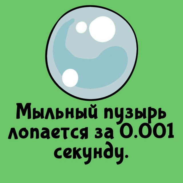 Короткие интересные факты на все случаи жизни