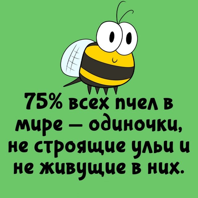 Короткие интересные факты на все случаи жизни