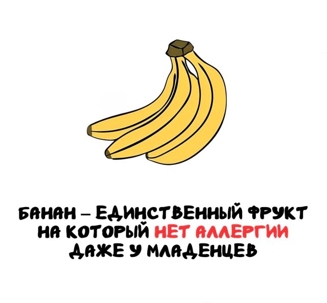 Интересные короткие факты на все случаи жизни