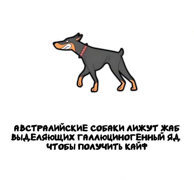 Интересные короткие факты на все случаи жизни