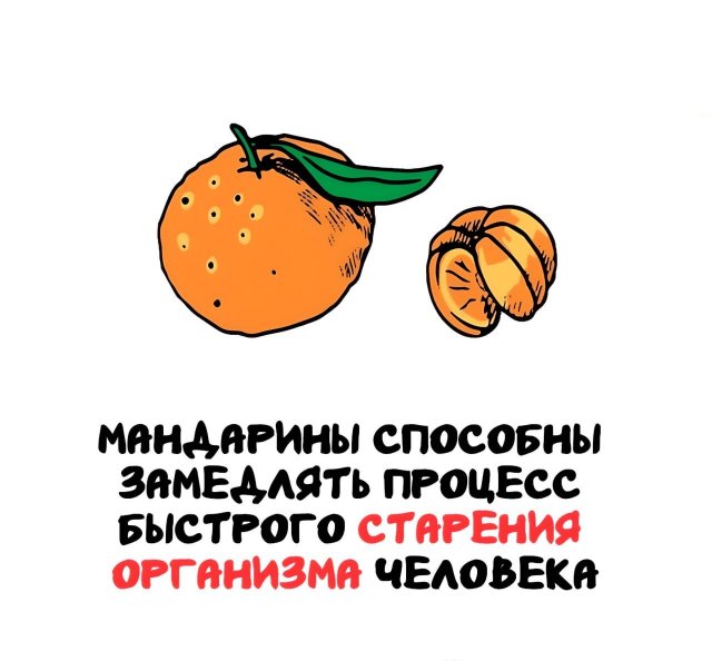 Интересные короткие факты на все случаи жизни