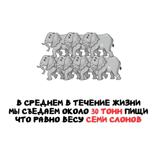 Интересные короткие факты на все случаи жизни