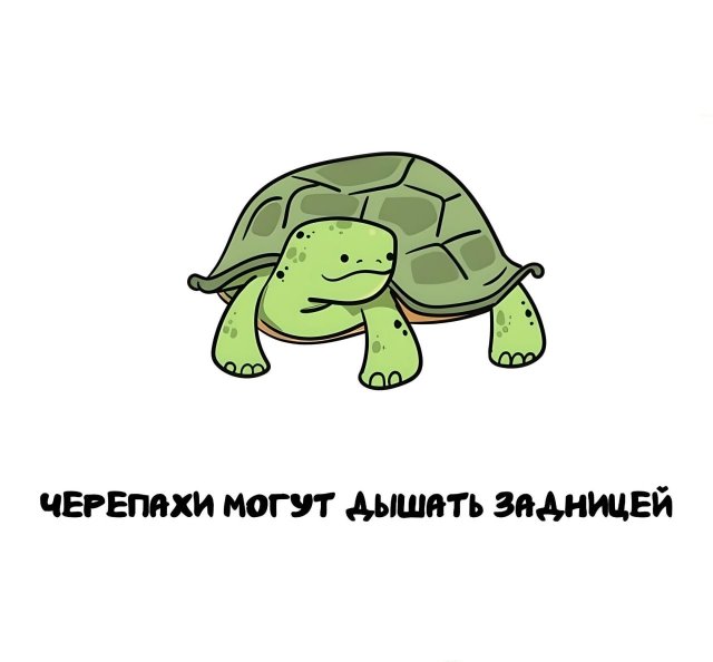 Интересные короткие факты на все случаи жизни
