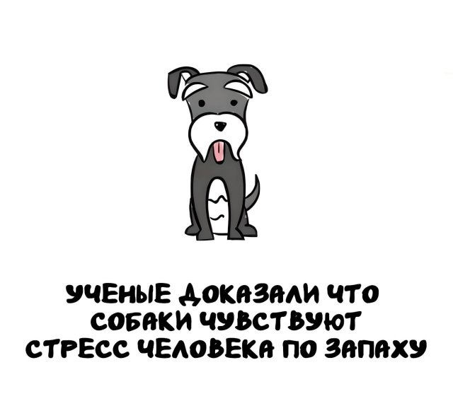 Интересные короткие факты на все случаи жизни