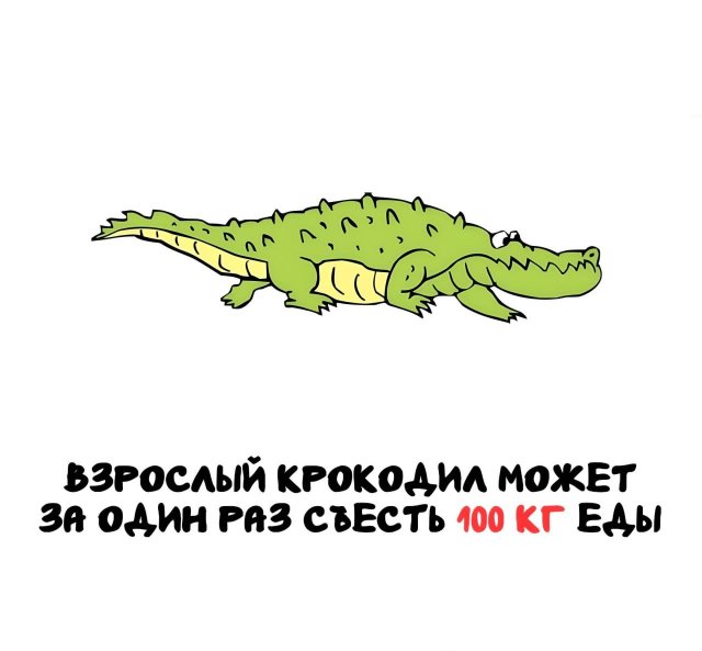 Интересные короткие факты на все случаи жизни