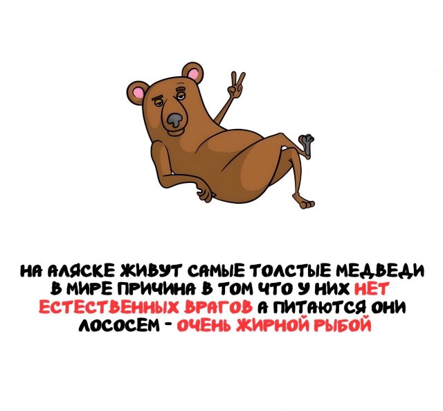Интересные короткие факты на все случаи жизни