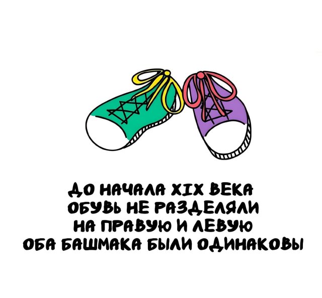 Интересные короткие факты на все случаи жизни