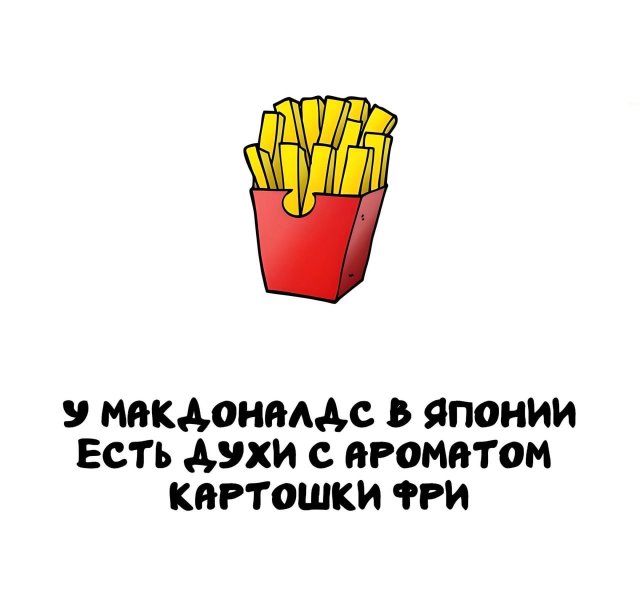 Интересные короткие факты на все случаи жизни