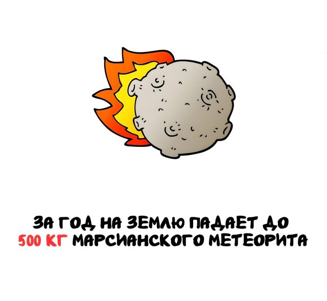 Интересные короткие факты на все случаи жизни