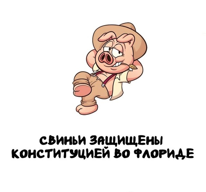 Интересные короткие факты на все случаи жизни
