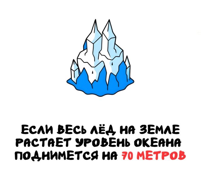 Интересные короткие факты на все случаи жизни