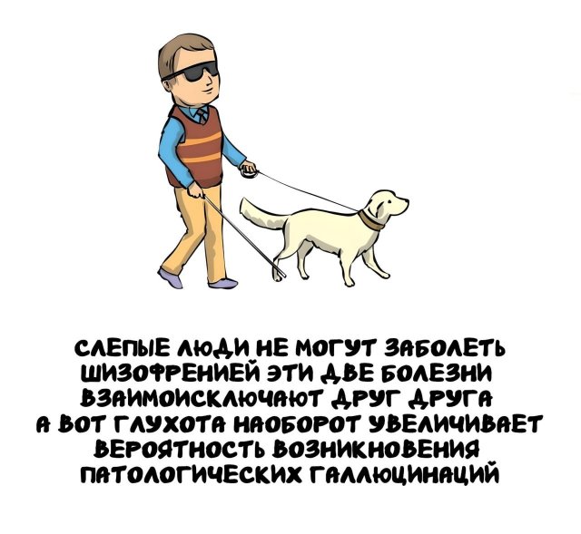 Интересные короткие факты на все случаи жизни