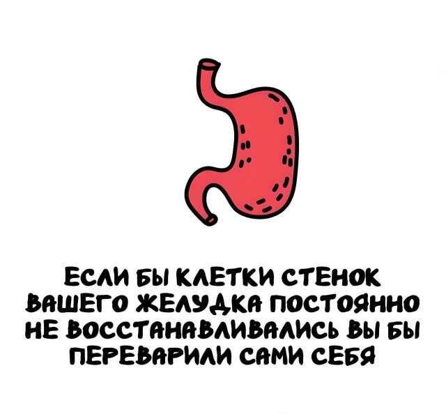 Интересные короткие факты на все случаи жизни