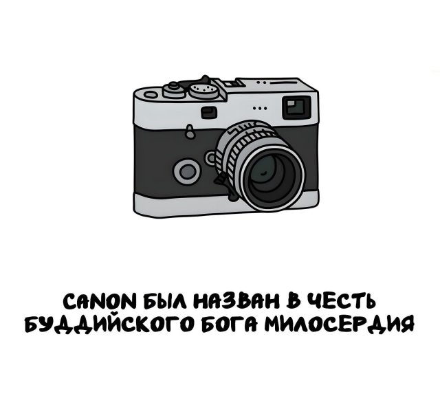 Интересные короткие факты на все случаи жизни